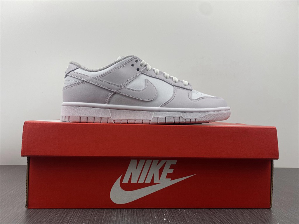 NIKE DUNK LOW  DD1503-116